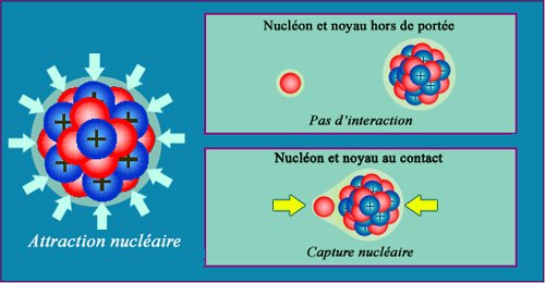 Échange de gluons Échange de gluons
