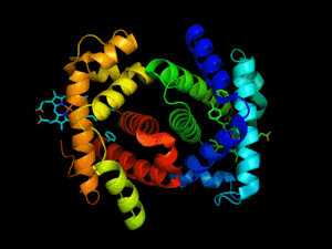 Molécules biologiques Molécules biologiques