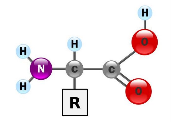 La biochimie La biochimie