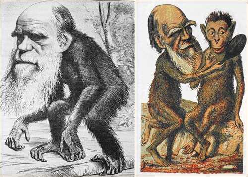 L'Origine des espèces L'Origine des espèces